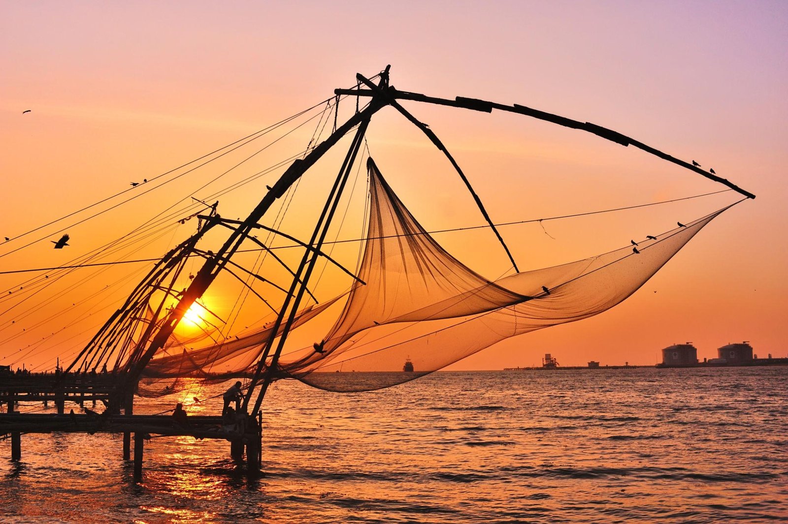 Kochi