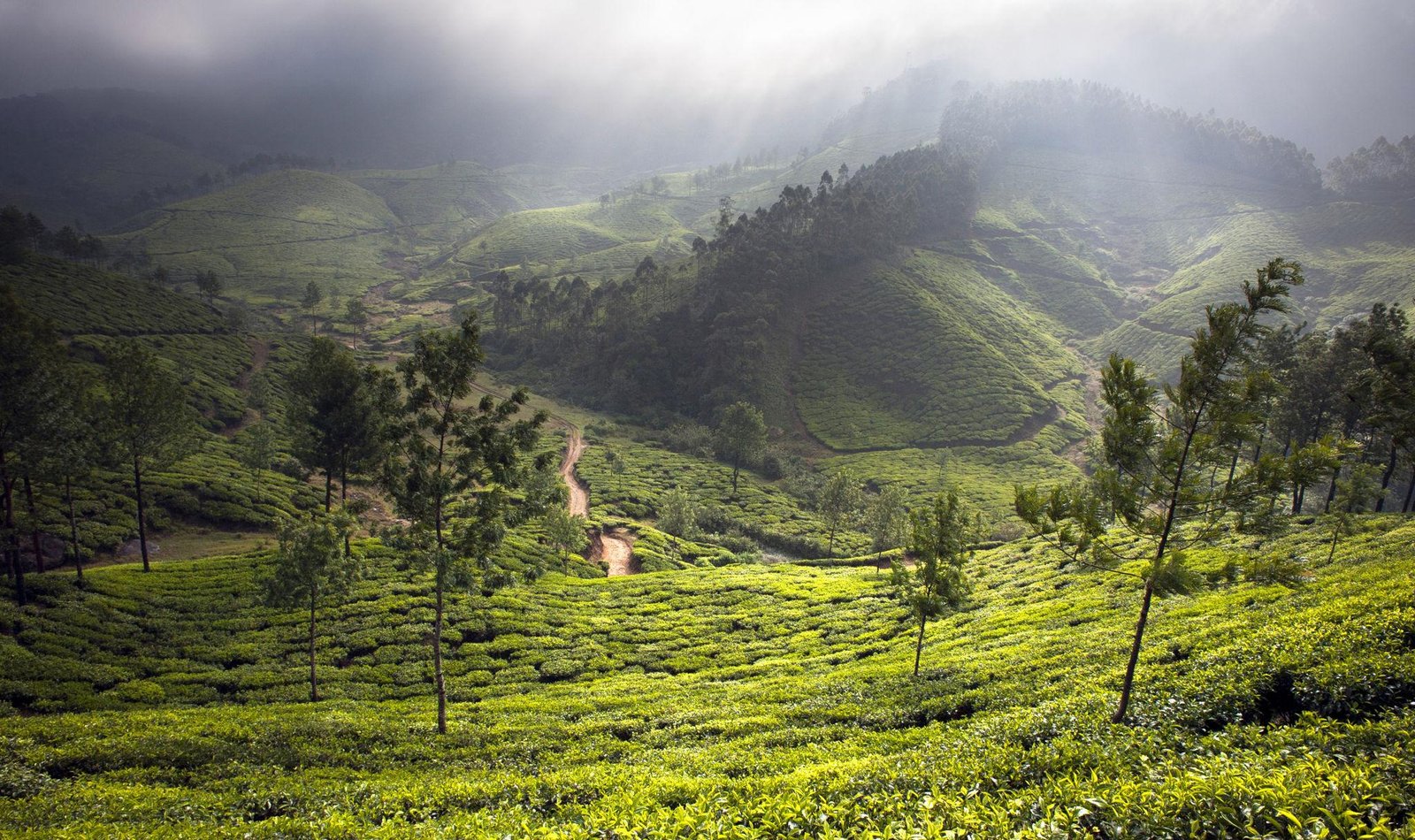 Munnar